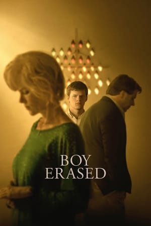 Boy Erased (2018) Hindi Dual Audio 720p BluRay [900MB] - Movierulz