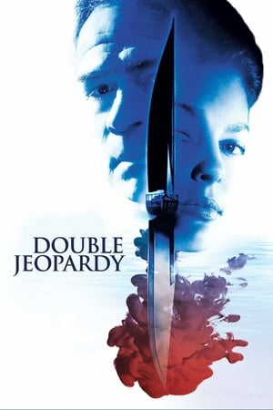 Double Jeopardy 1999 Hindi Dual Audio 480p Web-DL 350MB - Movierulz