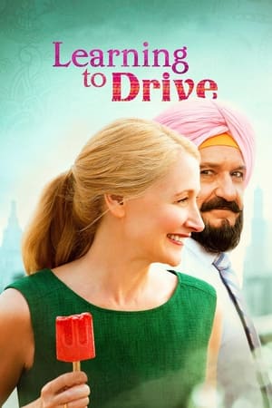 Learning to Drive (2014) Hindi Dual Audio 480p BluRay 300MB - Movierulz