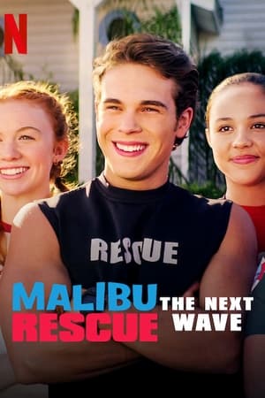Malibu Rescue: The Next Wave (2020) Hindi Dual Audio 480p Web-DL 230MB - Movierulz