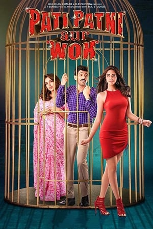 Pati Patni Aur Woh 2019 Hindi Movie 480p HDRip – [350MB] - Movierulz