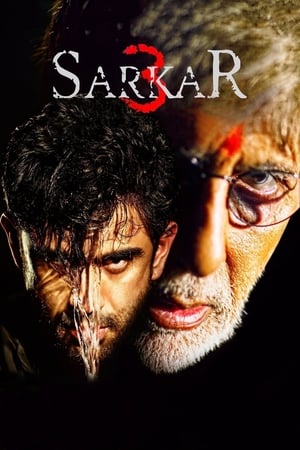 Sarkar 3 2017 350MB Full Movie 480p DVDRip Download - Movierulz