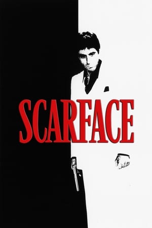 Scarface (1983) Dual Audio Hindi 480p BluRay 500MB - Movierulz