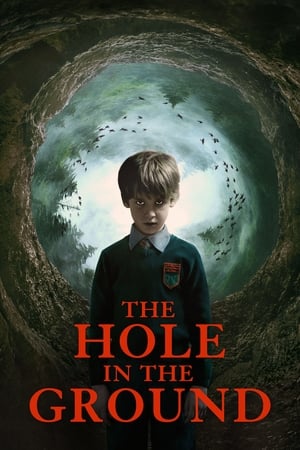 The Hole in the Ground 2019 Hindi Dual Audio 720p BluRay [830MB] - Movierulz