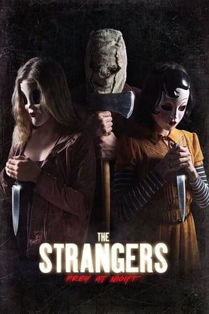 The Strangers: Prey at Night (2018) Hindi Dual Audio 720p BluRay [770MB] - Movierulz